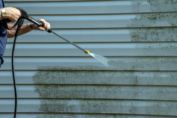 Best Local Pressure Washing Services  in Friendswood, TX